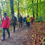 08.10.2025 Rundweg Fischbacher Kopf (über Alsdorfer Weiher) - P1: Auf einem schmalen Waldpfad in Richtung Dombach.