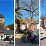 08.04.2026 Frauenstein - Kirschblütenstraße-Zur Linde - P3: 