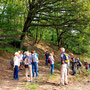 06.08.2025 Kiedrich (Stassen) Rundwanderweg - P1: Kleine Verschnaufpause am Ende des steilen Aufstiegs.