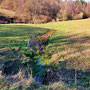 18.03.2026 K514 hinter Dombach-Eichelbacher Hof-Vogelburg-Hasselbach - P1: Ein schönes Tal mit Bachlauf hinter dem Eichelbacher Hof.