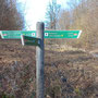19.02.25 Rundweg Cunoweg (über Waldhof) - P2:Wegweiser am Limesweg.