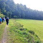 30.07.2025 Rundweg Riedelbach - P1: Am Waldrand entlang durch die Dombachwiesen Riedelbach, parallel zum Bach Wolfsgraben.