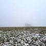 15.01.2025 Rundweg Zugmantel bei Orlen - P2: Wie Sie sehen, sehen Sie nichts - Eschenhahn total im Nebel.