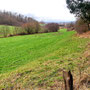 08.01.2025 Rundweg Bad Camberg (über Alsdorfer Weiher) - P1: Blick in das Schwabachtal in Richtung Würges.
