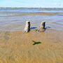 Foto NH / Wattenmeer Cuxhaven