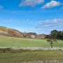12th Sept PM: St Abbs - walk around harbour