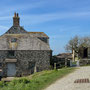 21st March AM: NT Pentire Glaze - walk to Pentire Point (and back)