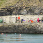 26th March AM: Boscastle 