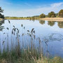 1st May AM: forest, dunes and beach walk at Holkham Gap