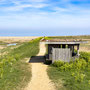 29th April AM: Norfolk Wildlife Trust – Cley and Salthouse Marshes visitor centre walk to Cley beach and back