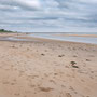 5th June - am: Alnmouth beach 