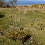 Exmoor above Minehead