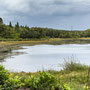 10th Sept AM: Cragside - parkland walk