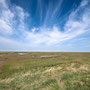 28th April PM: Stiffkey Saltmarshes  - walk towards Morston