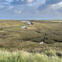 11th October AM: walking from Holme Dunes  nature reserve to Thornham Quay
