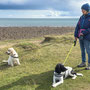1th Sept AM: Holy Island / Lindisfarne - walk around island