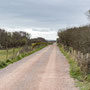Tuesday 25th March am:  walk to Crow Point, Braunton Burrows