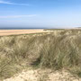 1st May AM: forest, dunes and beach walk at Holkham Gap