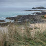 6th May am: walk from Godrevy car park, though dunes to Towans beach