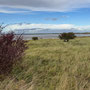 1th Sept AM: Holy Island / Lindisfarne - walk around island