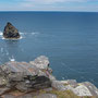 7th June; (pm) Boscastle - coast path walk (eastwards) above harbour (Warren Point)