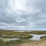 14th October PM: Cley North Norfolk Reserve