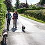 On the approach to Llandiloes
