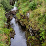 The river at Severn-Break-Its-Neck falls (about 4 miles from source)