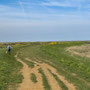 28th April AM: Blakeney coast path walk towards Cley