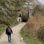 22nd March:  NT Lanhydrock House, garden & parkland