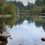 Bruntis Loch in Kirroughtree Forest