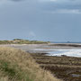 8th Sept AM: King Charles Coast path at Seahouses