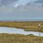 11th October AM: walking from Holme Dunes  nature reserve to Thornham Quay
