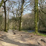 22nd March:  NT Lanhydrock House, garden & parkland