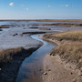10th March pm:  Burnham Overy Staithe harbour towards Burnham Overy Beach