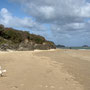 25th March AM: Padstow walk along the Camel estuary