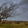 Exmoor at Withypool