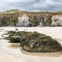 6th May am: beach walk return to Godrevy car park.