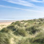 30th April AM: RSPB Titchwell Marsh  - dunes and beach