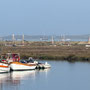 12th October AM: Morston Quay and Blakeney