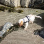 June 7th AM: Back Bay nr Monreith - rock pools ok