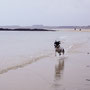 Low Newton / Embleton Bay