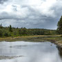 10th Sept AM: Cragside - parkland walk