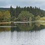 Bruntis Loch in Kirroughtree Forest