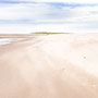 7th Sept AM: Cheswick Sands nature reserve