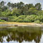 10th Sept AM: Cragside - parkland walk