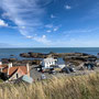 12th Sept AM: St Abbs - walk back. from Coldingham Bay 
