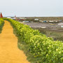 27th April AM: Morston Quay walk to Blakeney