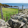 Coast walk, Kynance Cove to the Lizard
