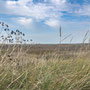 11th October PM: walking at RSPB Titchwell Marsh reserve and beach